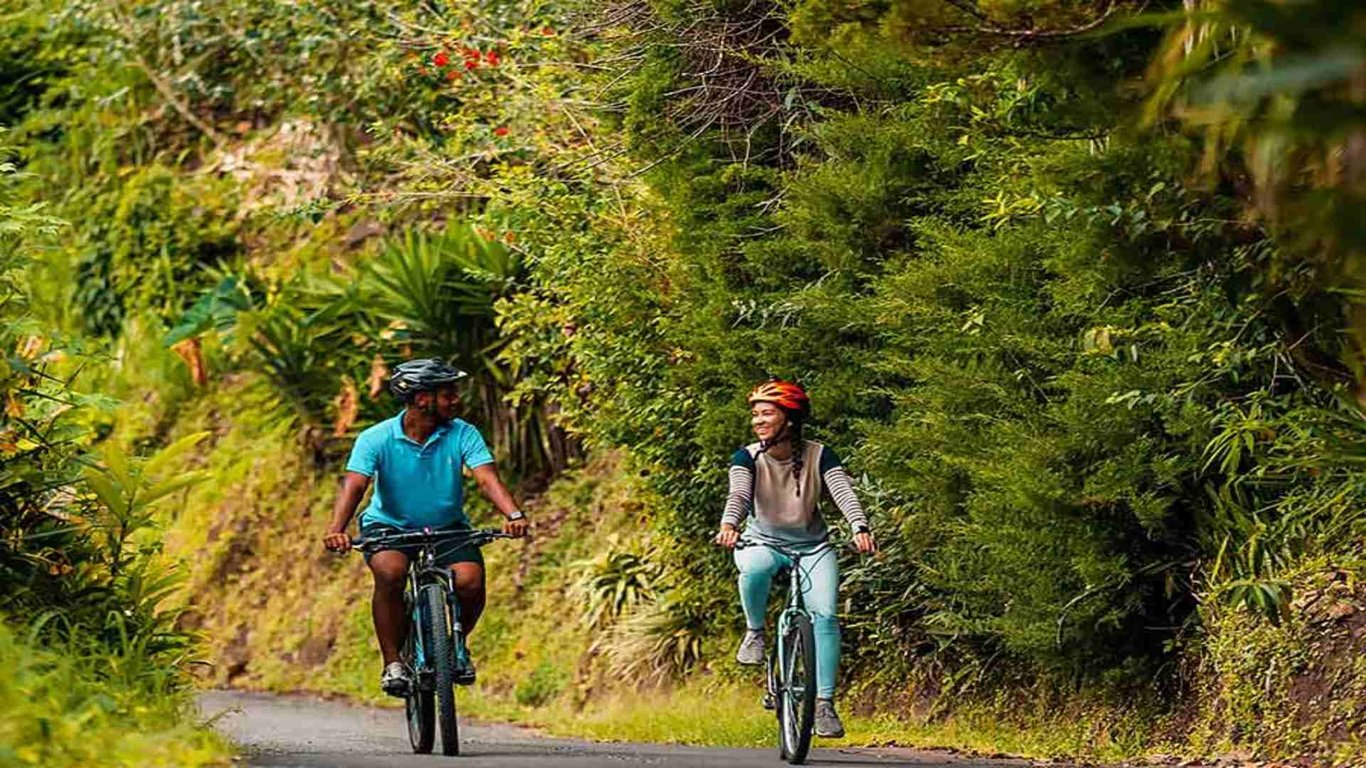 Private in Montego Bay image