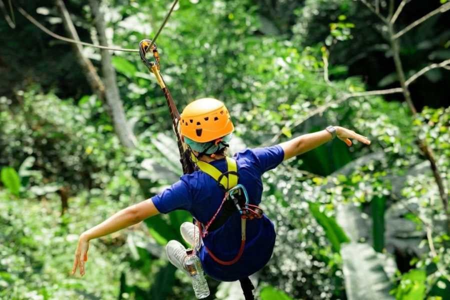 A thrill-seeker glides through the jungle on a zipline, arms outstretched in excitement.