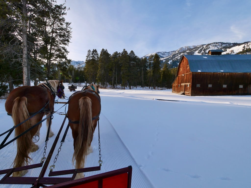 Snake River Ranch Sleigh Ride Tour Image 5