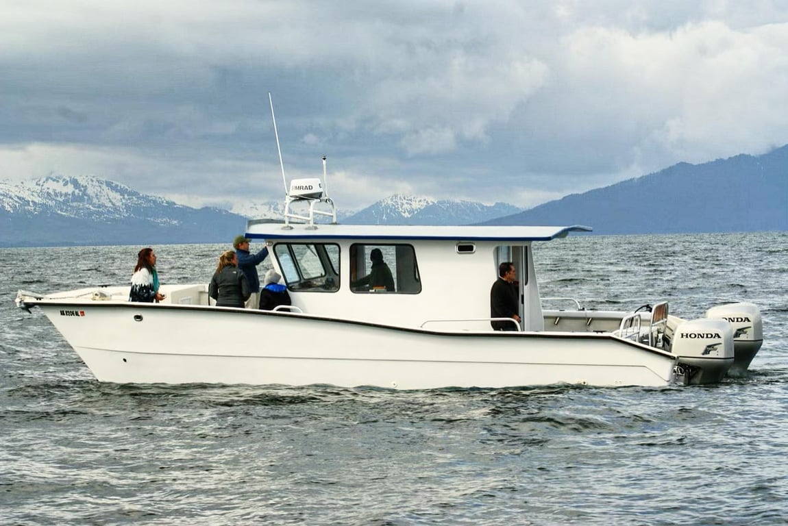 Icy Strait Whale & Wildlife Endeavor Tour Image 2