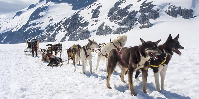 Which Juneau Helicopter Tour Should You Do?