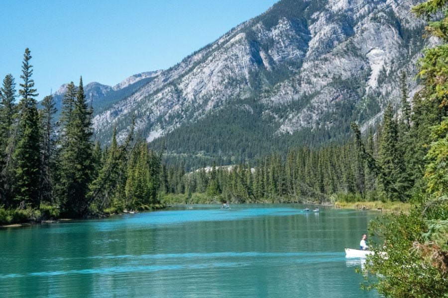 A peaceful river winds through pine forests beneath towering rocky mountains.