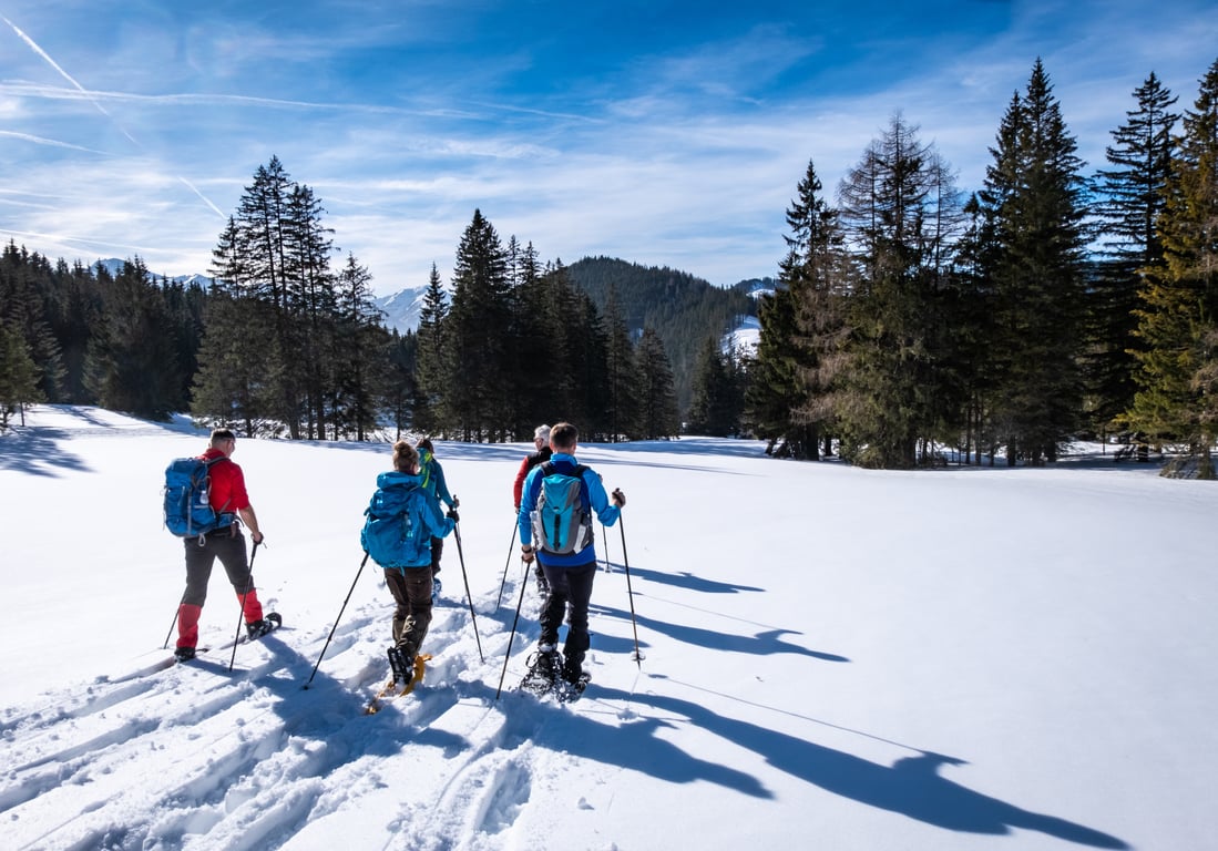 Explorer Half Day Snowshoe Tour Image 5