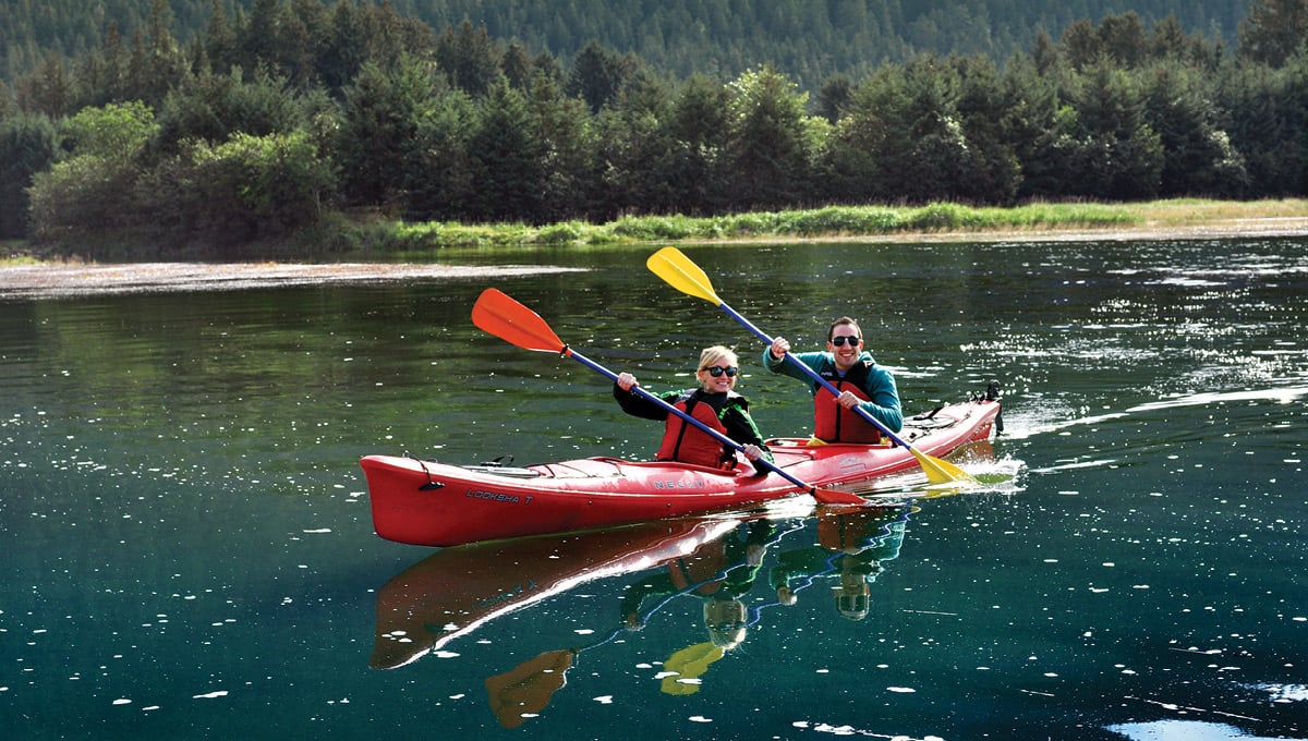 Wilderness Sea Kayaking Adventure Tour Image 5