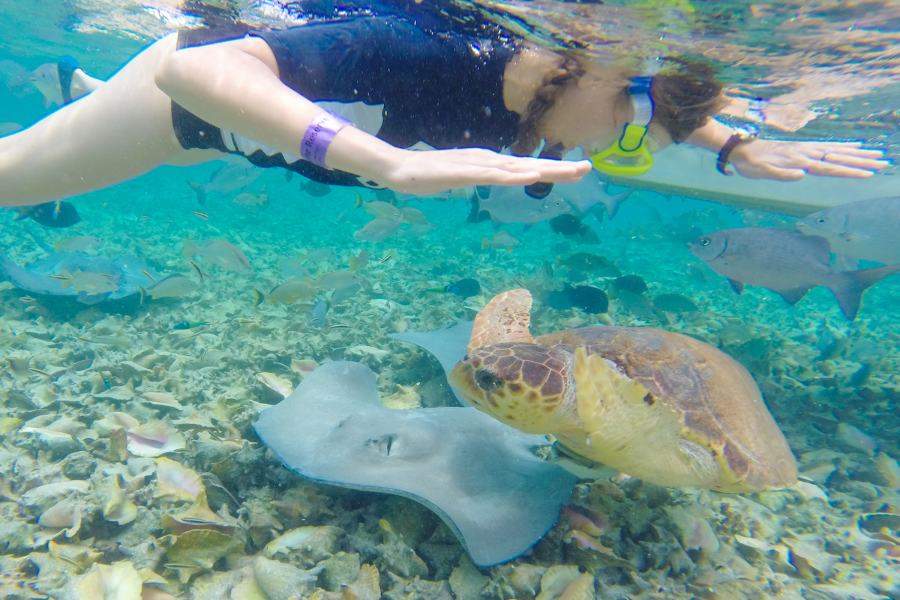 Solo Travel in Belize: Tips and Destinations for the Lone Explorer