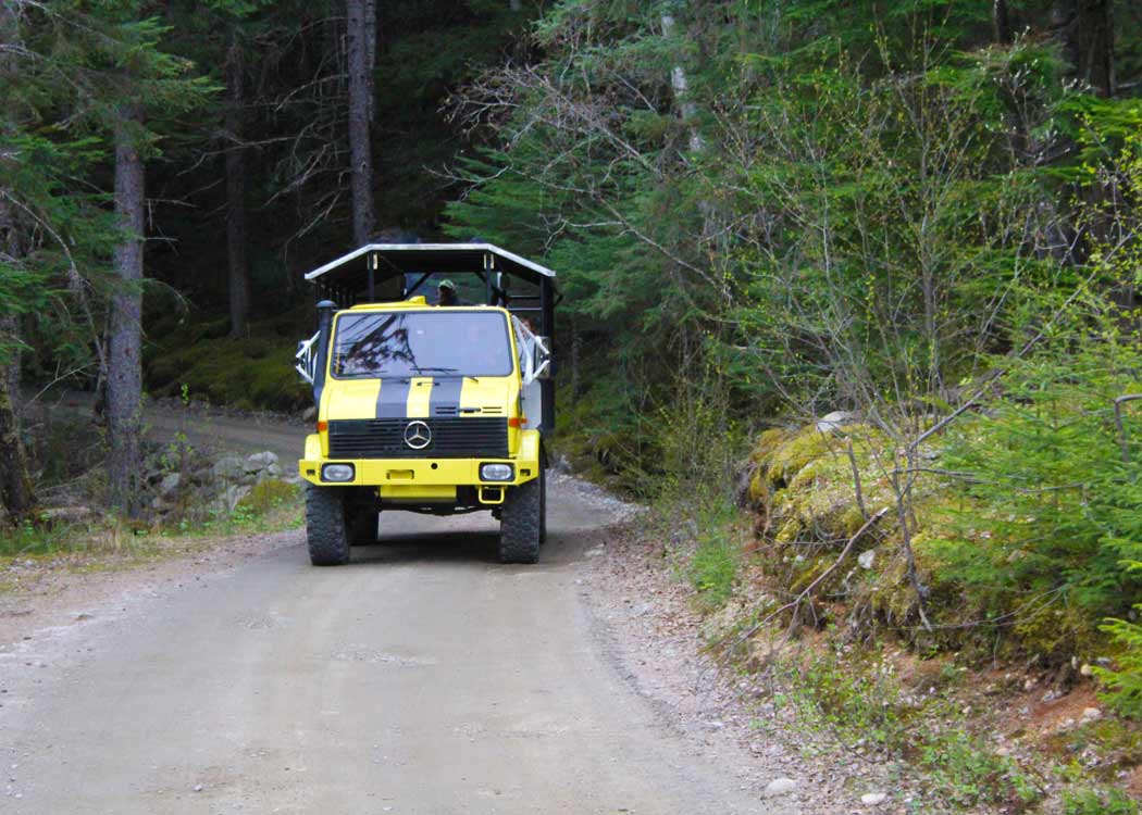 Skagway Sled Dog and Musher's Camp Tour Image 18