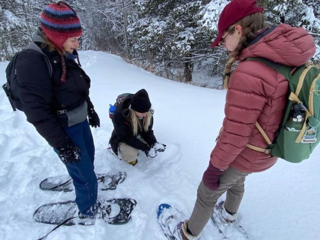 Snowshoe In Glacier National Park Tour Image 4
