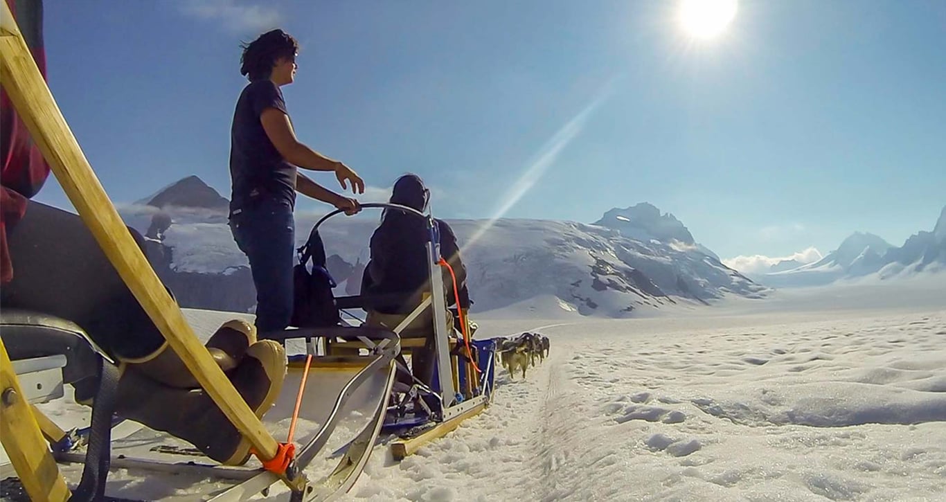 Mendenhall Glacier Helicopter & Dogsled Tour Image 5