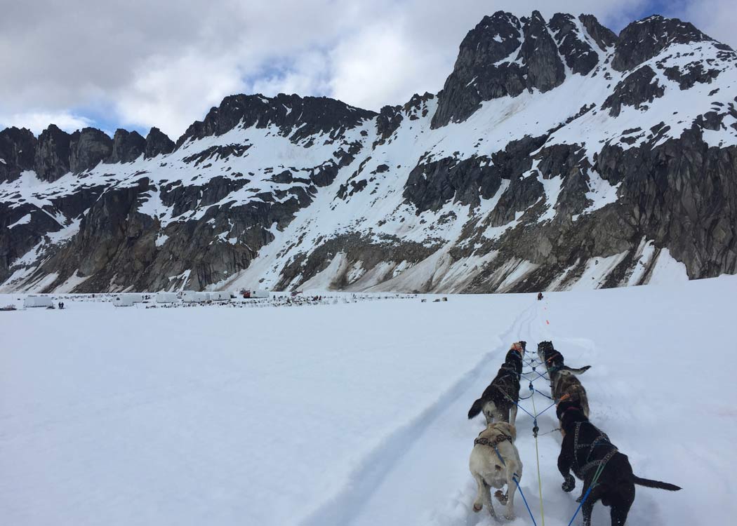 Helicopter Glacier & Dog Camp Adventure image