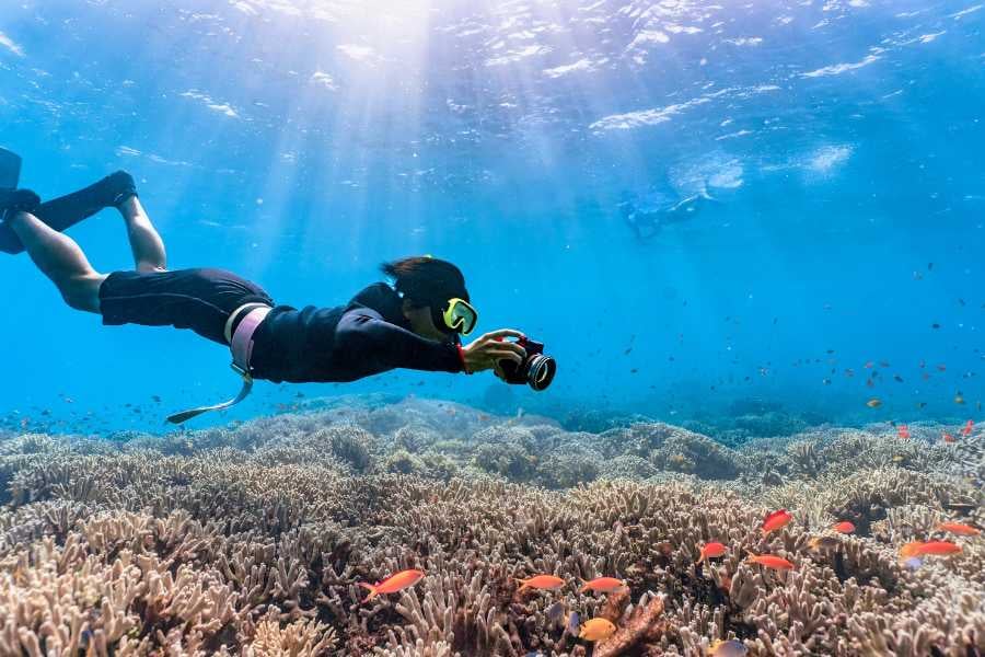 A diver is diving into deep water