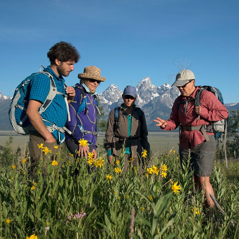 Explorer Half Day Hike Tour Image 2