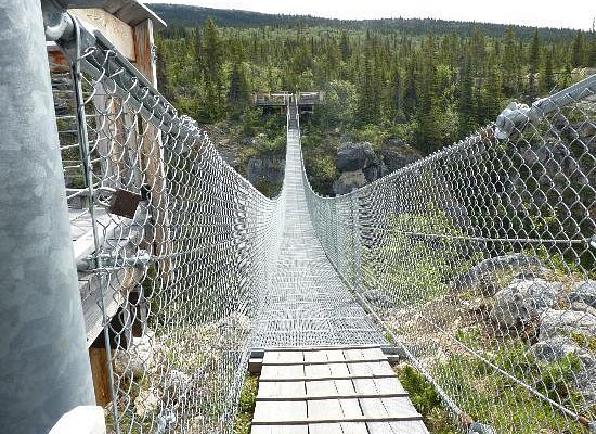 Yukon Suspension Bridge & Summit Tour Tour Image 1
