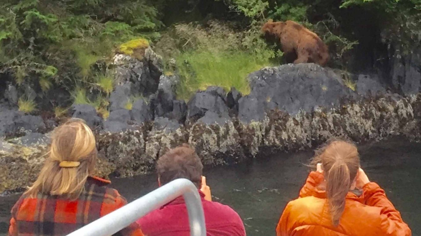Private Wilds of Sitka Sound Expedition by Boat Tour Image 2