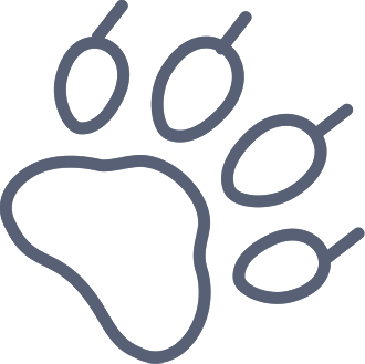 Description feature image 2