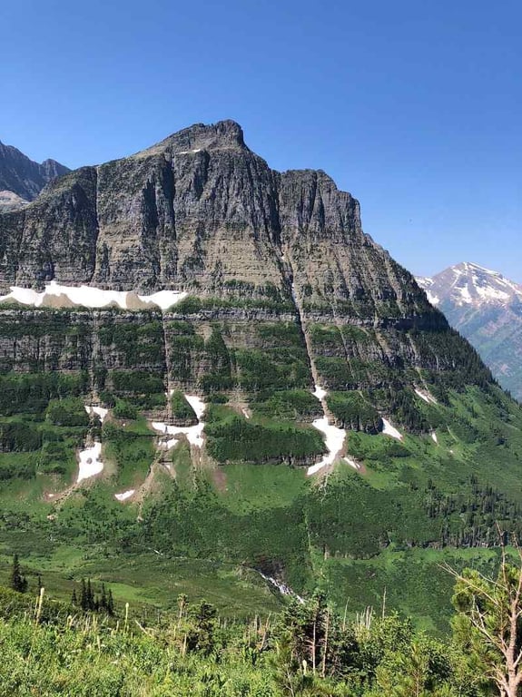 Highline Trail on Logan Pass review image 2