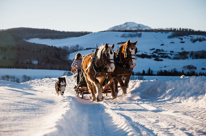 Telluride Sleigh Rides Tour Image 3