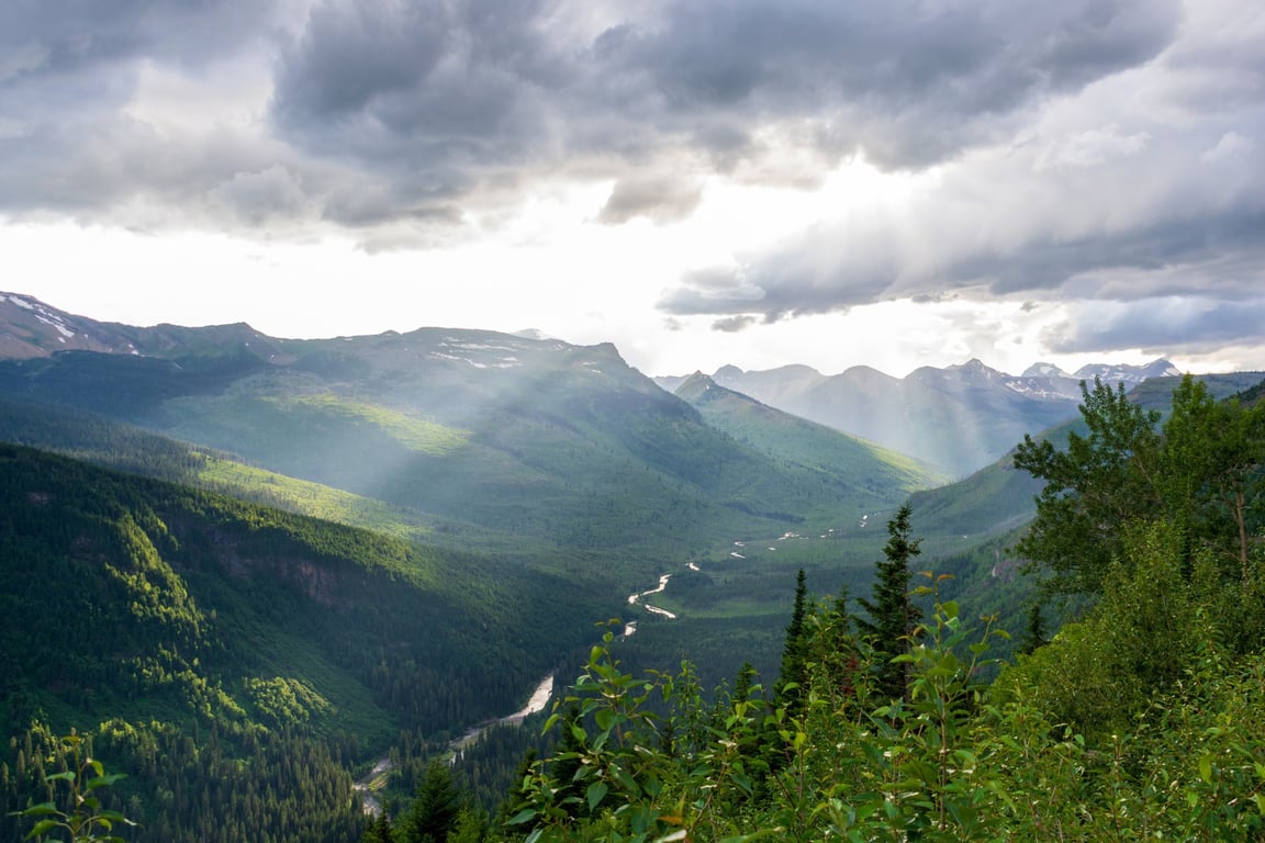 winding river in lush green valley of glacier park