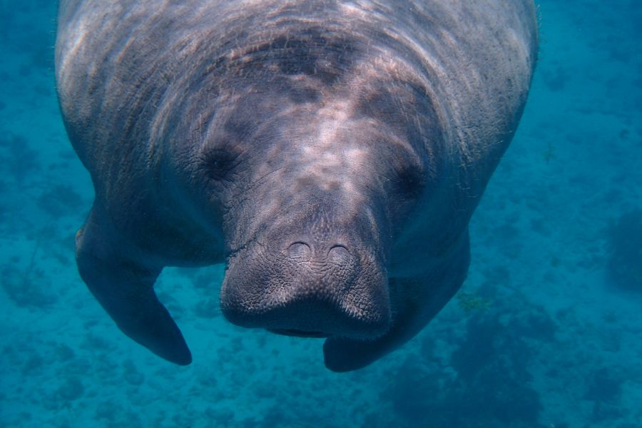 Our Favorite Things to Do & See in San Pedro