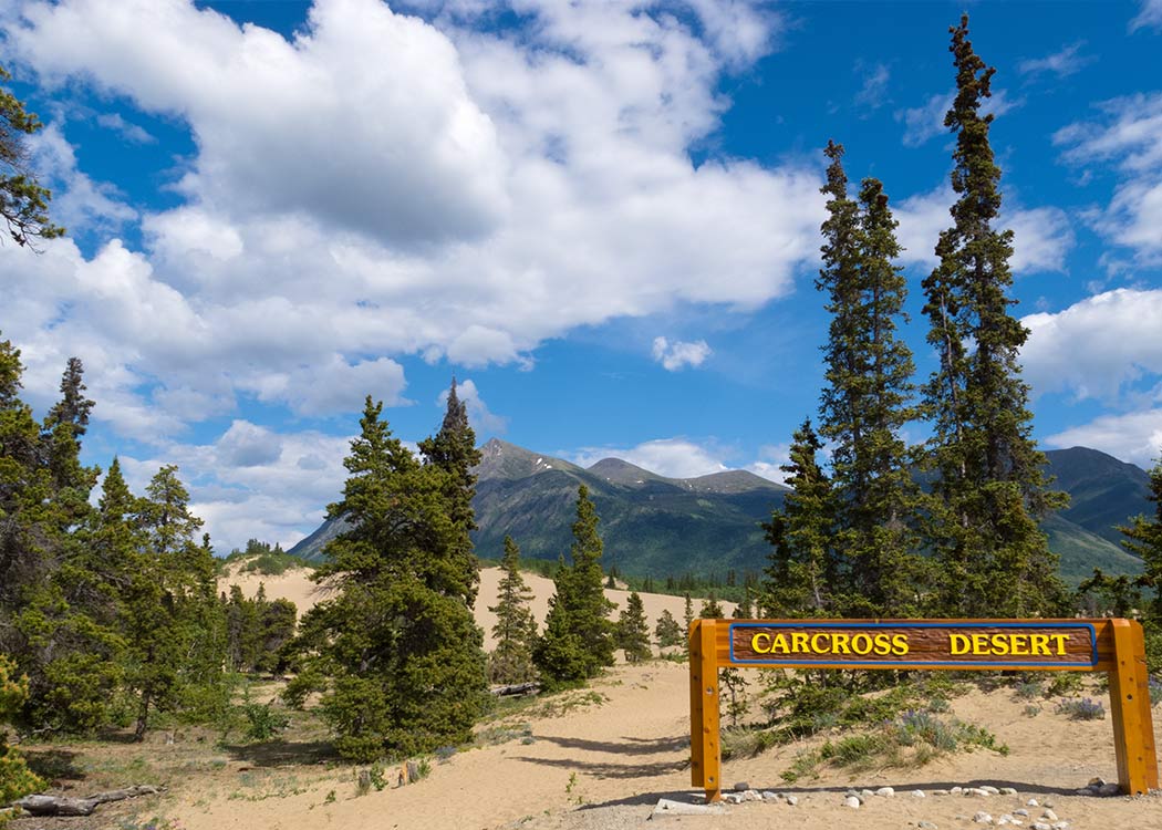 Private Emerald Lake Tour Tour Image 14