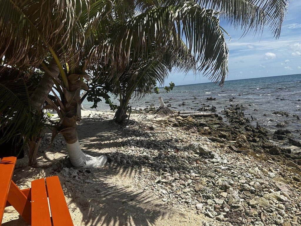 Beautiful island! review image 2