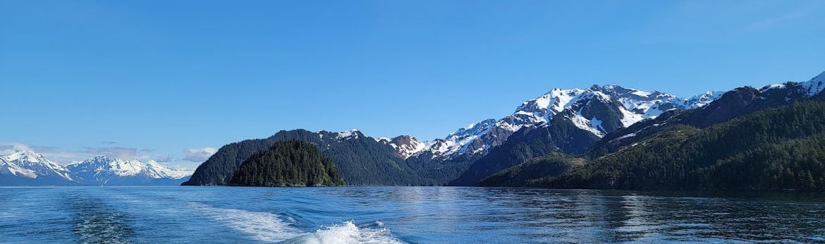 Combination Sightseeing and Fishing Tour Image 5