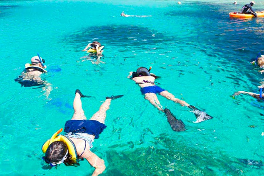 Roatan Snorkeling