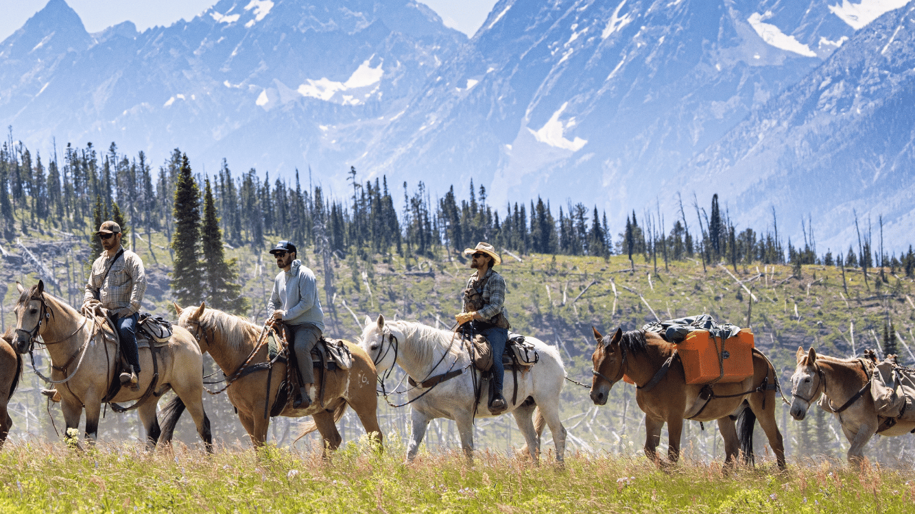 Private Horseback & Grand Teton Tour Tour Image 2