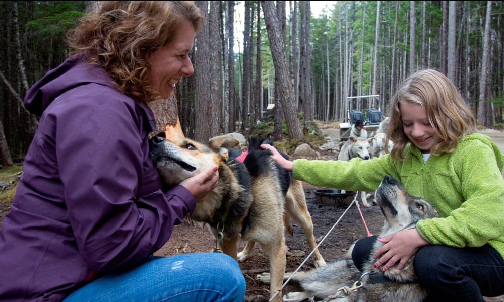 Skagway Sled Dog and Musher's Camp Tour Image 10