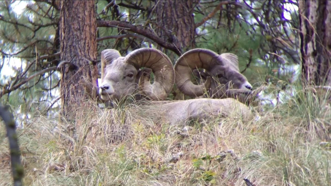 Flathead Lake Private Boat Tour image