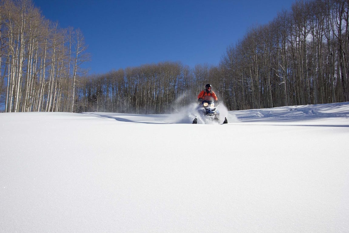 Telluride Advanced Snowmobile Tour Half Day image