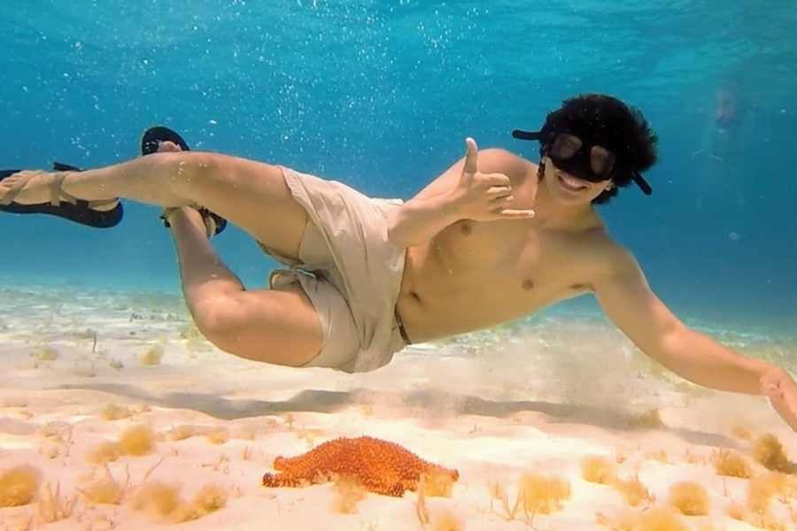 A snorkeler gives a playful hand signal while floating above a sandy seabed, a bright starfish nearby.