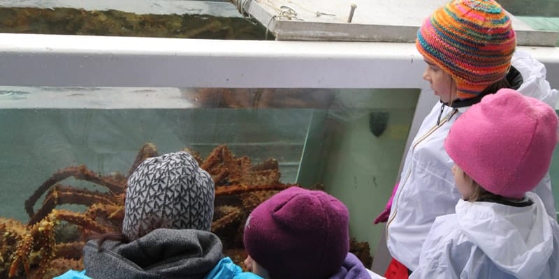 The 6 Best Kid-Friendly Shore Excursions and Alaska Family Tours
