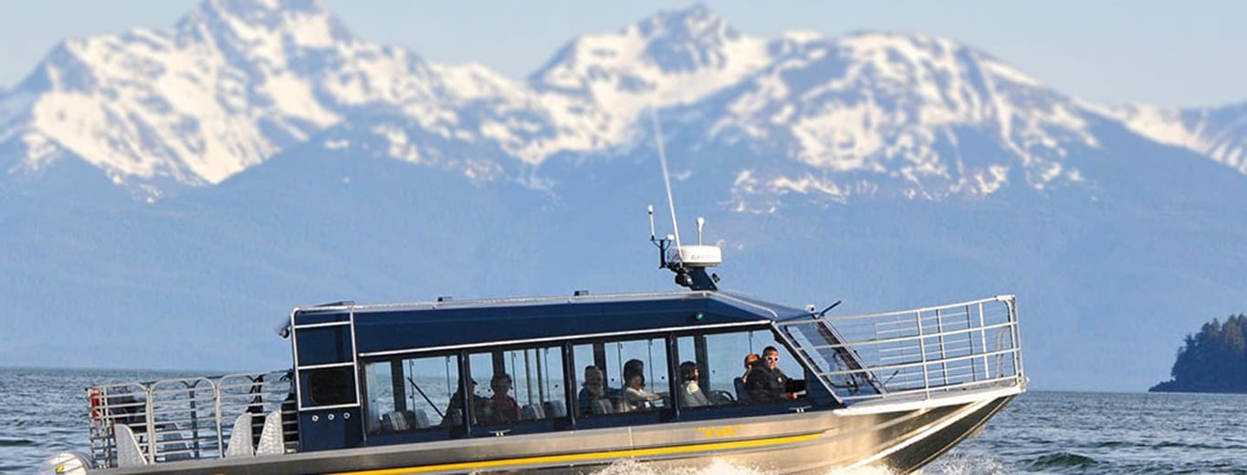 Whale Watching & Mendenhall Glacier Tour image