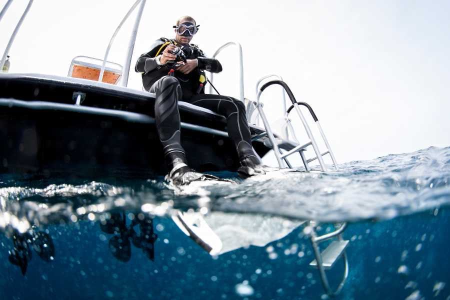 A diver is ready to dive