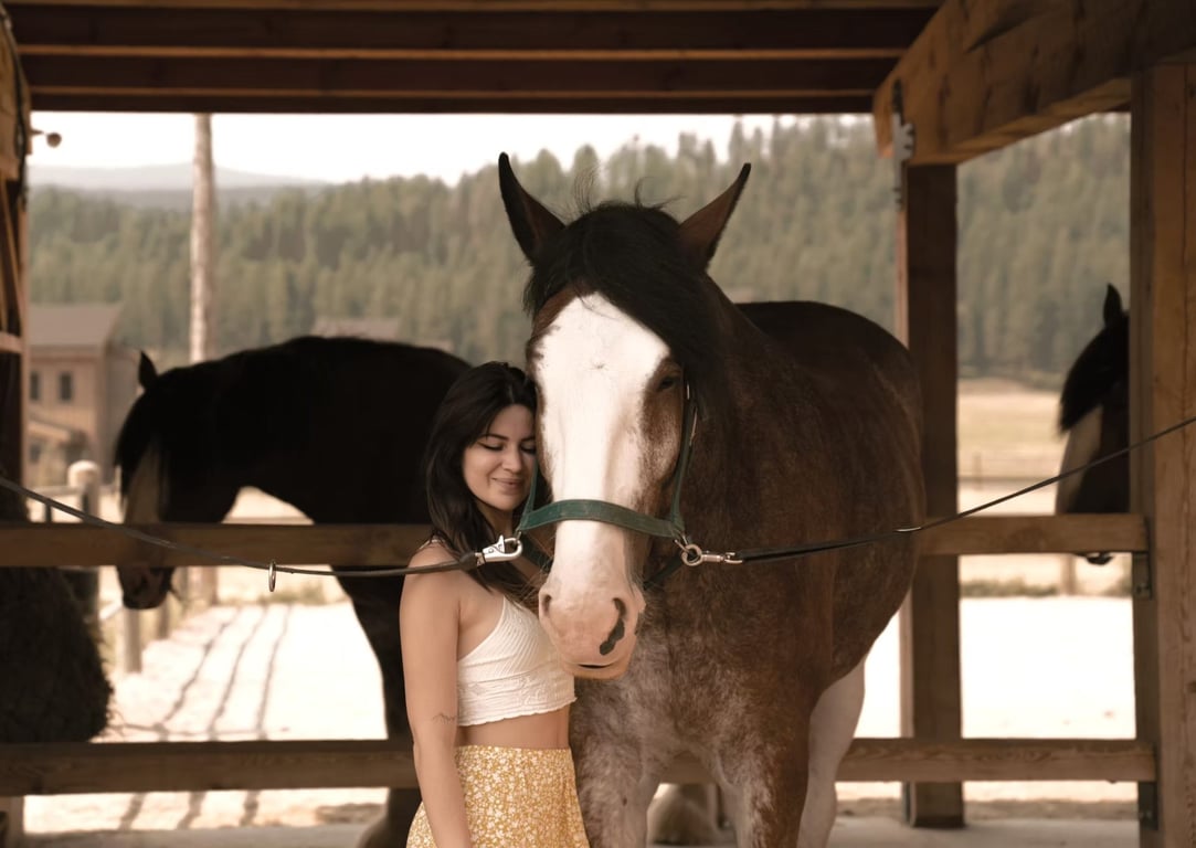 Clydesdale Horseback Riding Tour Image 5