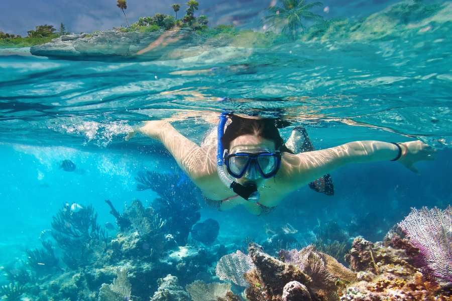 A snorkeler glides over a vibrant coral reef, surrounded by tropical fish and swaying sea fans.