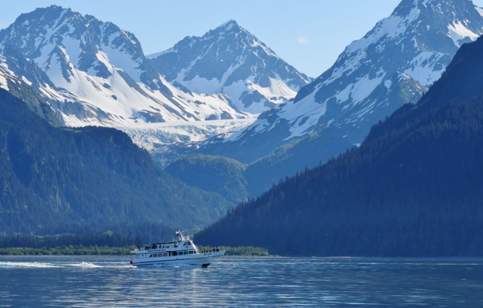4 Hour Kenai Fjords Wildlife Cruise Tour Image 3
