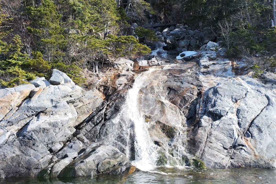 Skagway Waterfall & Wildlife Tour Tour Image 3