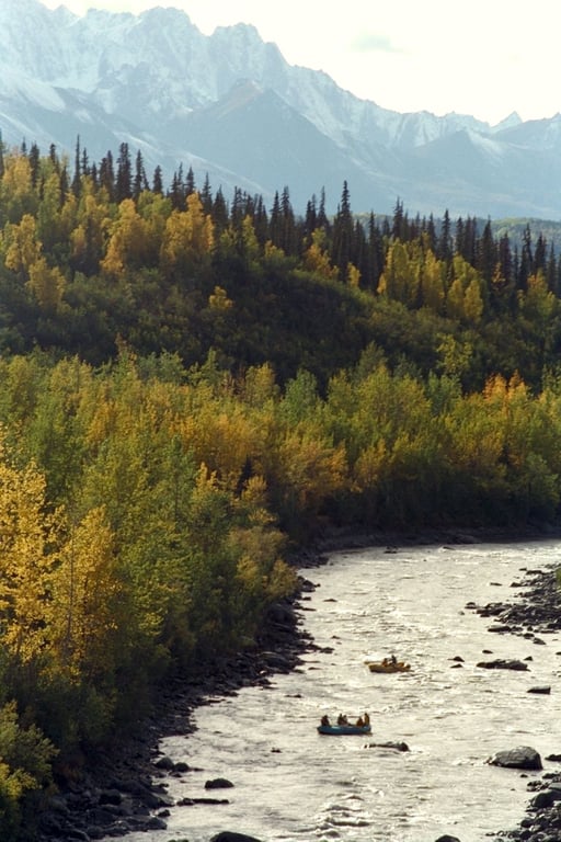 Matanuska River Scenic Float image