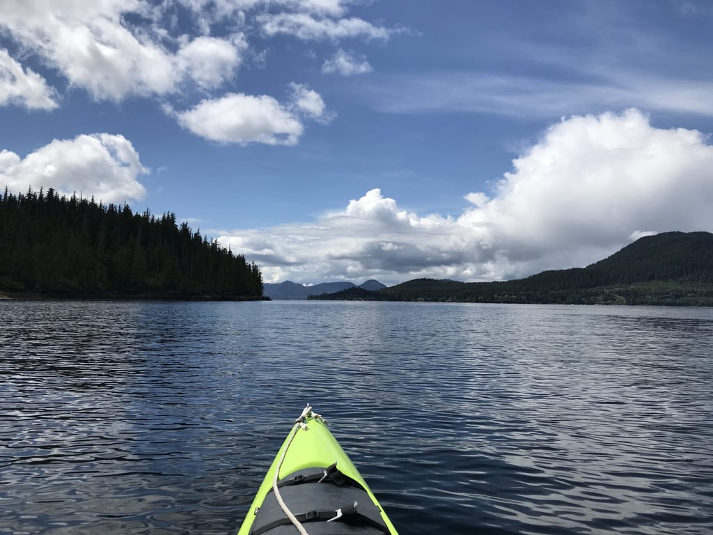 Great way to slow down and explore the wildlife of Ketchikan! review image 0