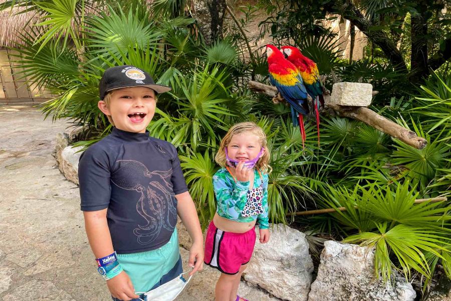 The Ultimate Family Guide to Xel-Ha Park In Mexico