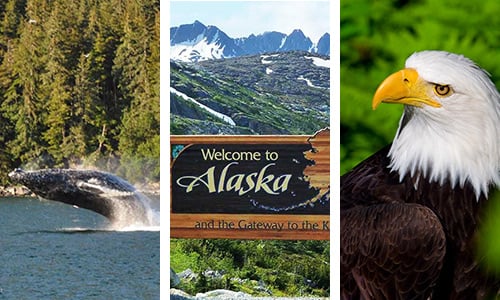 Alaska Tour Packages