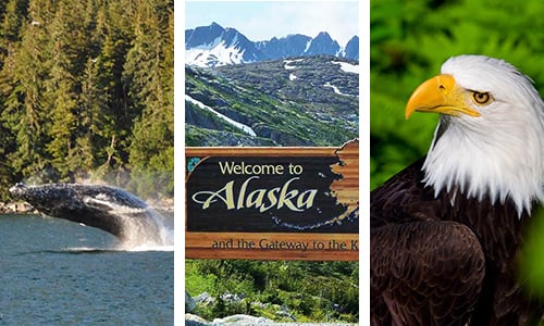 Alaska Tour Packages