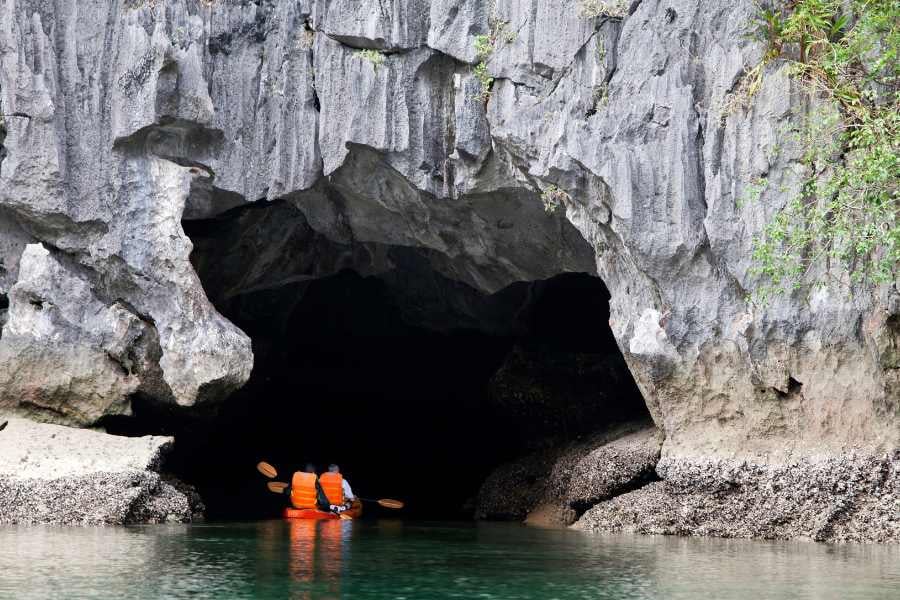 Some people are enjoying the kayak tour