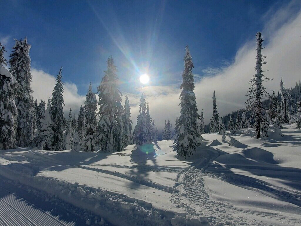 You can't say you've seen Whitefish until you look down from the top of the mountain. review image 1