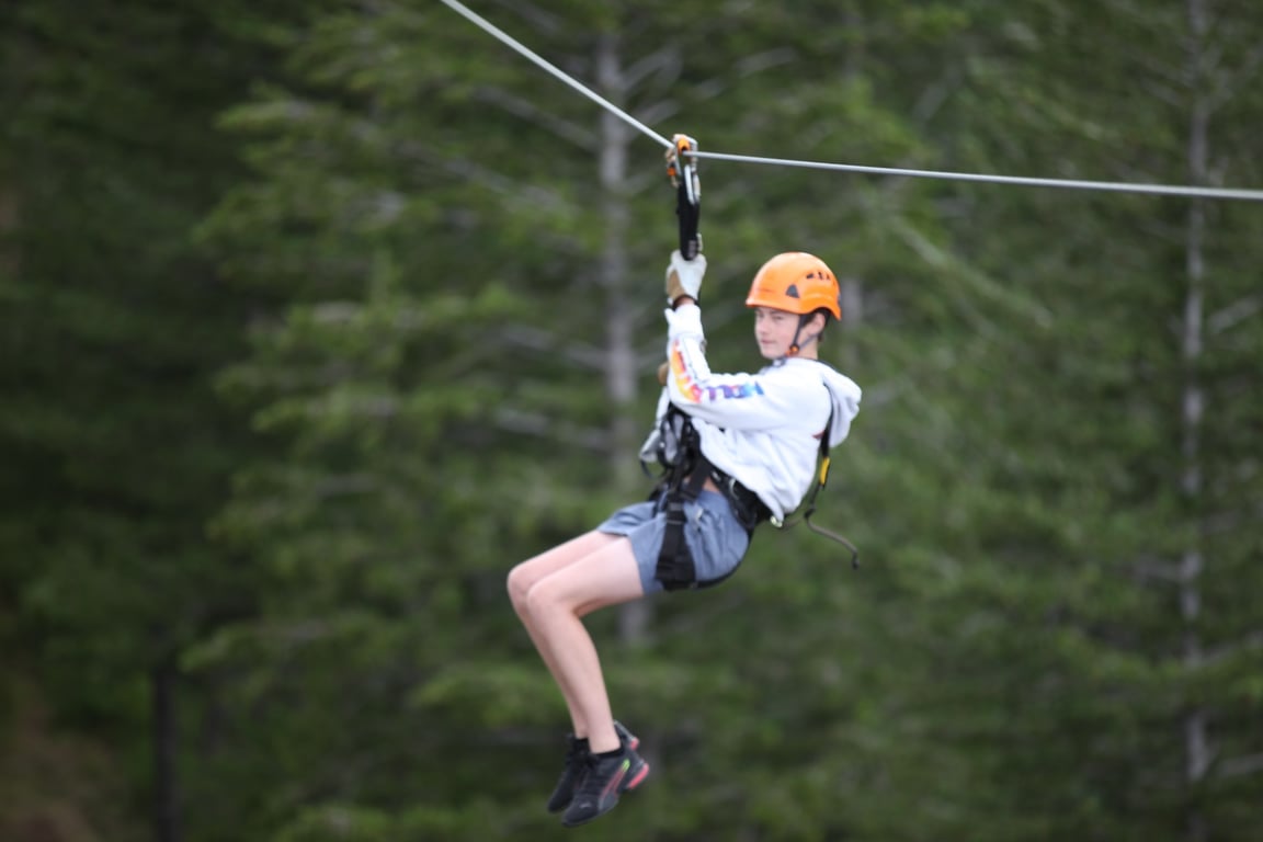 Glacier Zipline Canopy Tour image