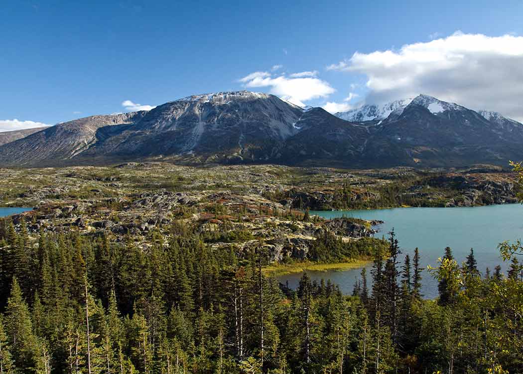 Skagway Adventure Hike Tour Image 3