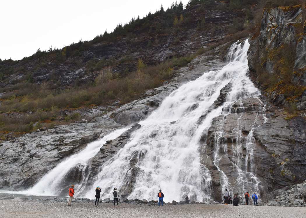Whale Watching & Mendenhall Glacier Tour Tour Image 7