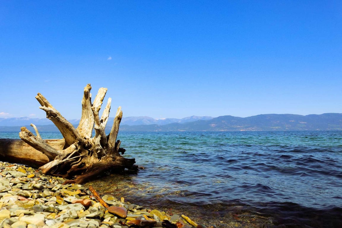 Flathead Lake Speedboat - Half Day Rental Tour Image 5