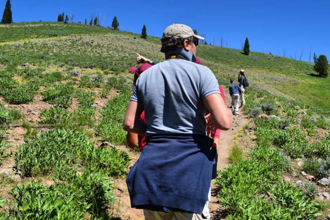 Lamar Valley Full Day Hiking Adventure Tour Image 11